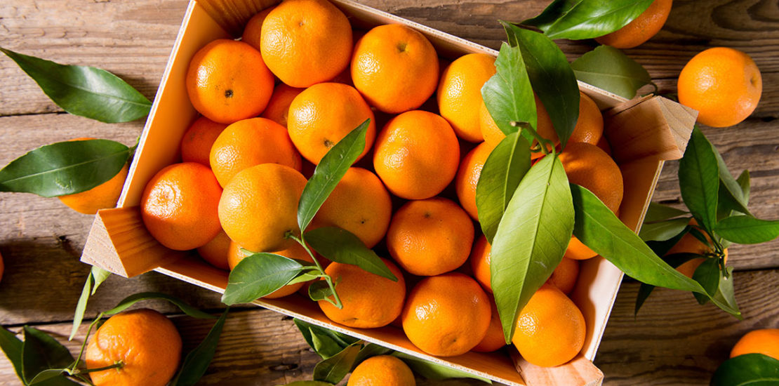 mandarina nadorcott patente de una variedad vegetal